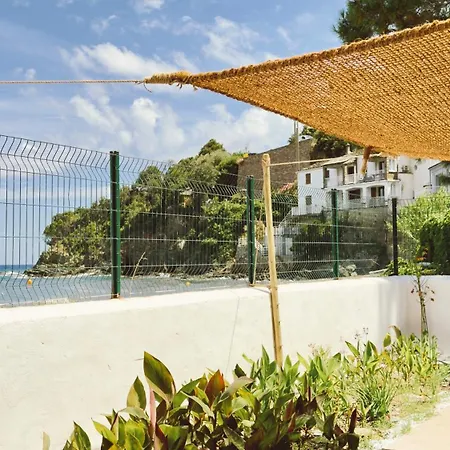 Cap Almyra, On Lavasina Beach, Erbalunga * Brando